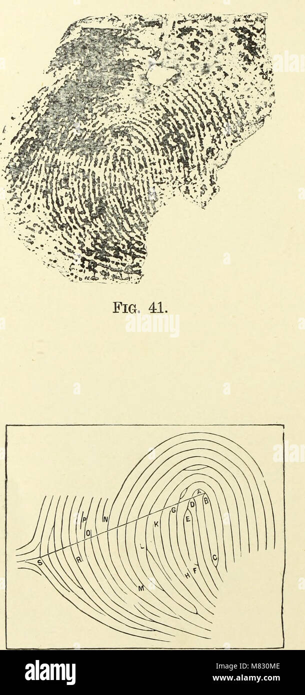 Classification and uses of finger prints (electronic resource) (1905 ...