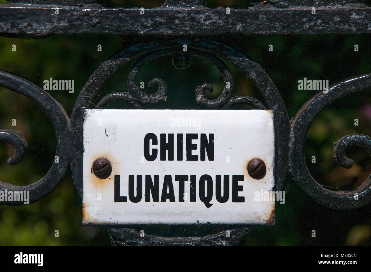 Householders French Language Beware Of The Dog Notices Melbourne Stock Photo Alamy