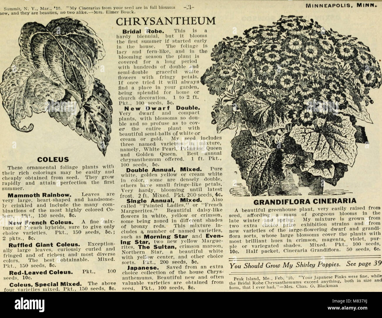 A booklet from 1911, featuring a collection of thoughtful compliments ...