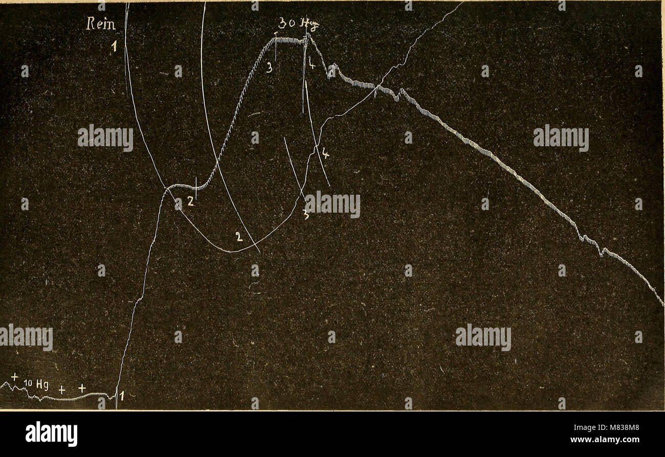 Comptes rendus des séances de la Société de biologie et de ses filiales