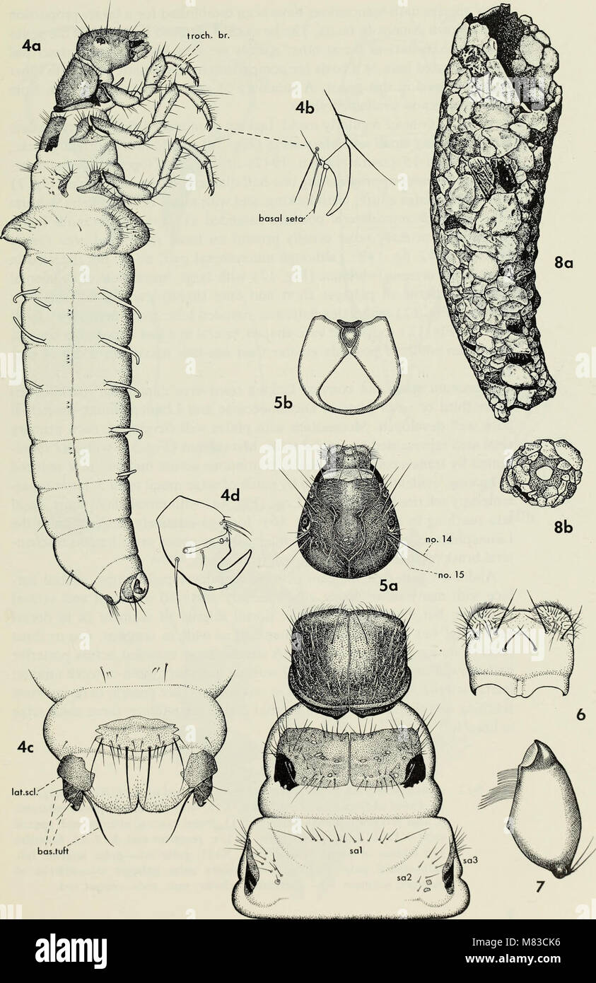 Contributions to the systematics of the caddisfly family Limnephilidae (Trichoptera) I (1973
