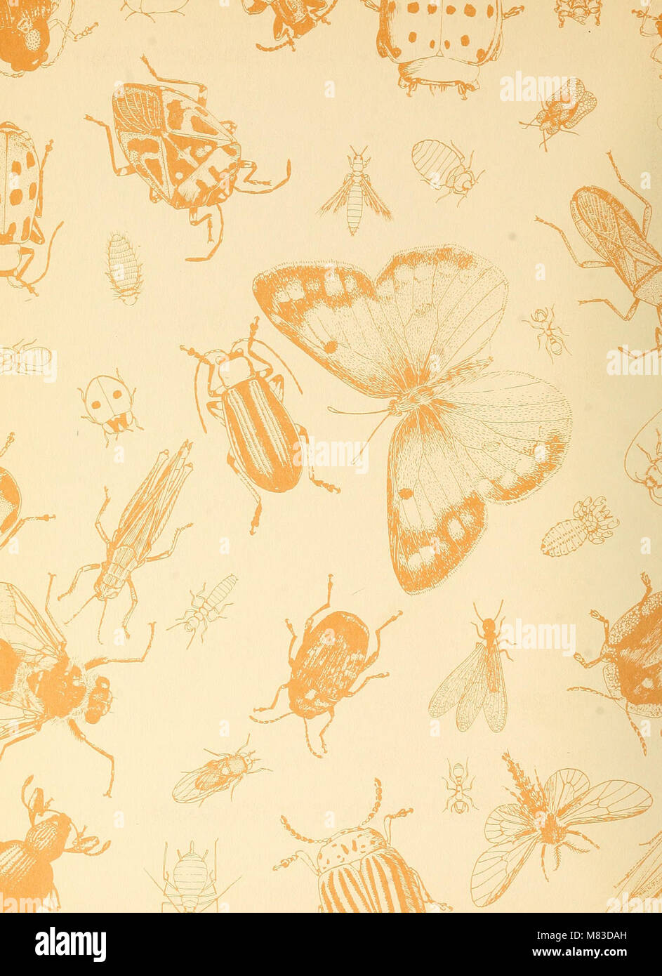 The 1956 'Cooperative Economic Insect Report' focused on the economic ...