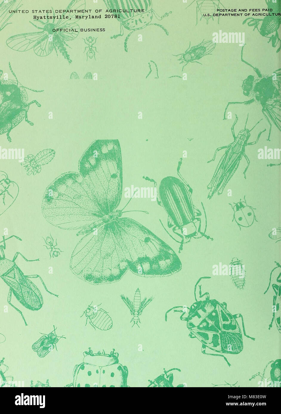 Research A Insect Insect research methods hi-res stock photography and images - Alamy