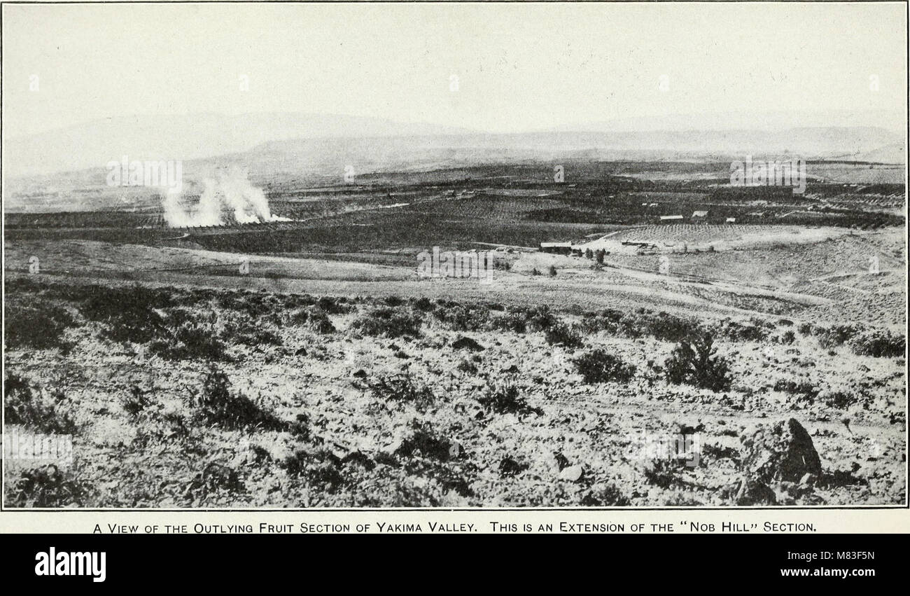 Cost of producing apples in Yakima Valley, Washington a detailed