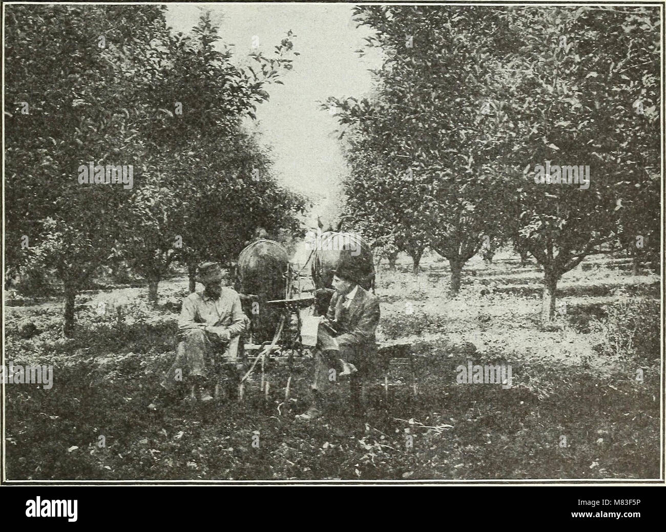 Cost of producing apples in Yakima Valley, Washington a detailed