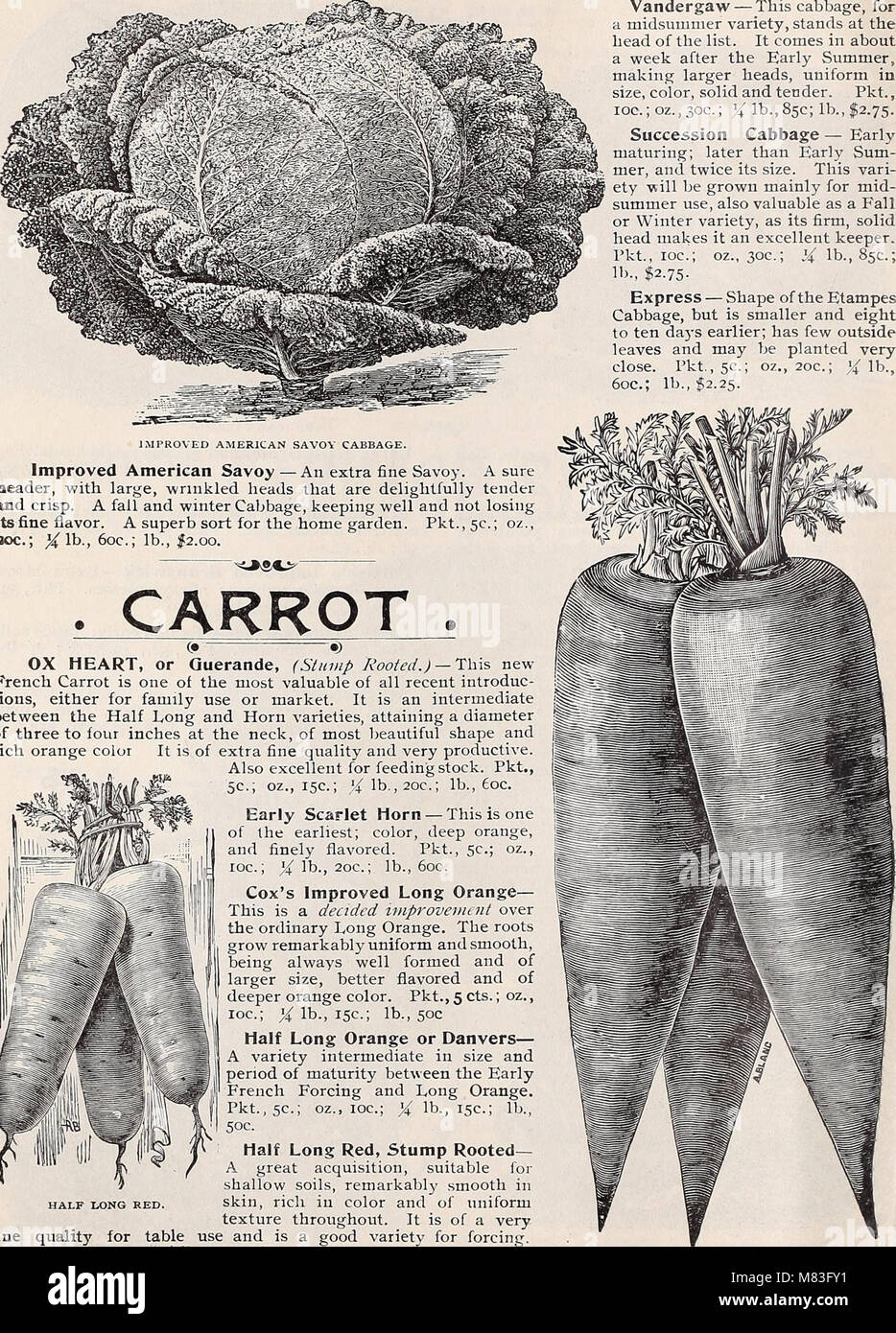 Cox seed and plant co. catalogue (1897) (20081888553 Stock Photo Alamy