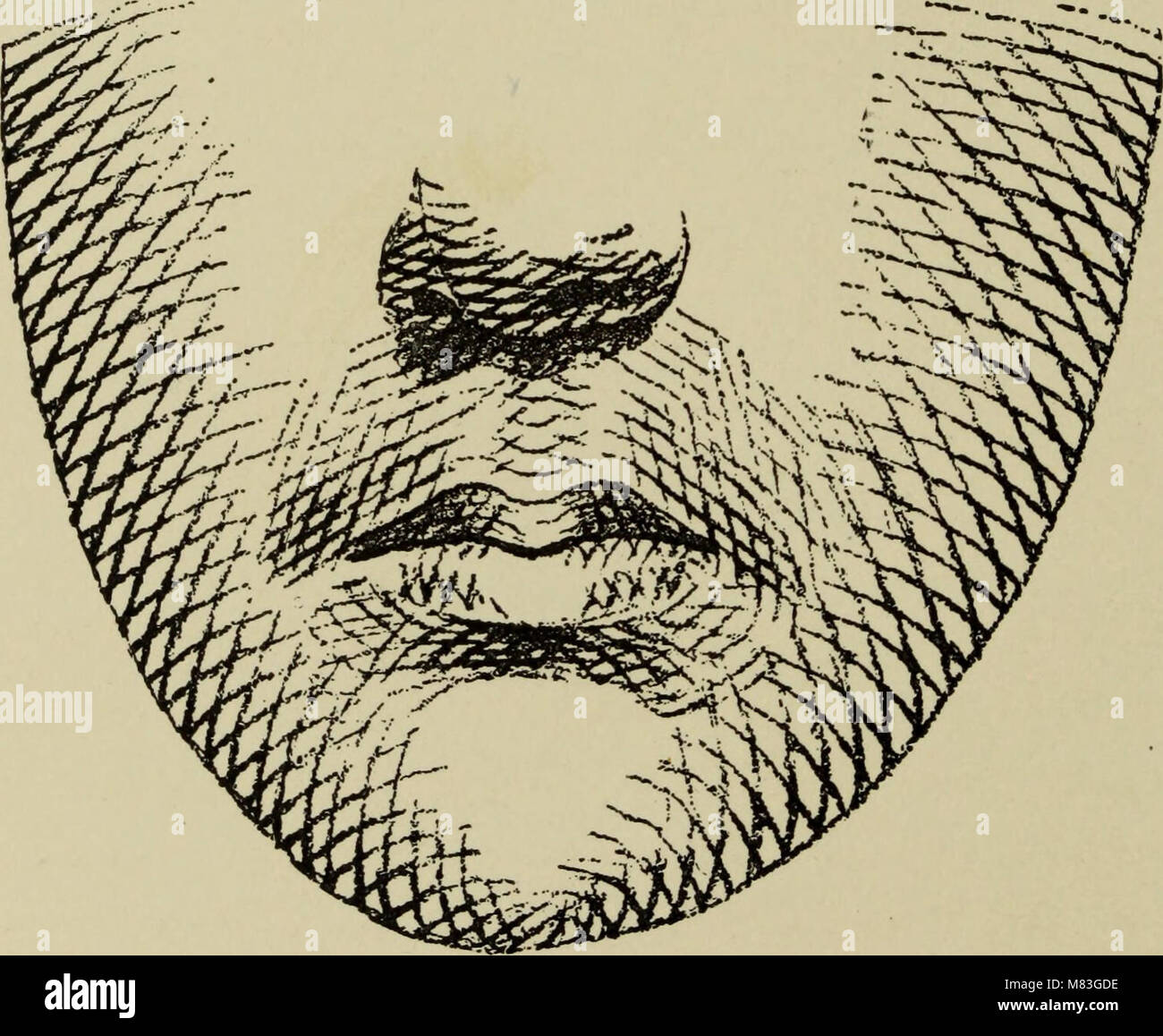 Crayon portraiture; complete instructions for making crayon portraits