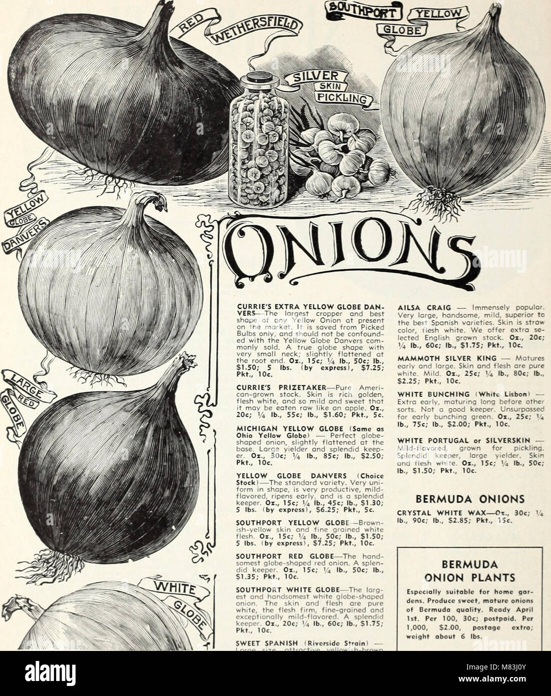 Currie's 65th year garden annual (1940) (20627315278) Stock Photo