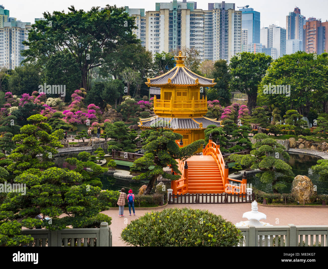 Chi Lin Nunnery and Nan Lian Garden in Kowloon Hong Kong China Stock Photo