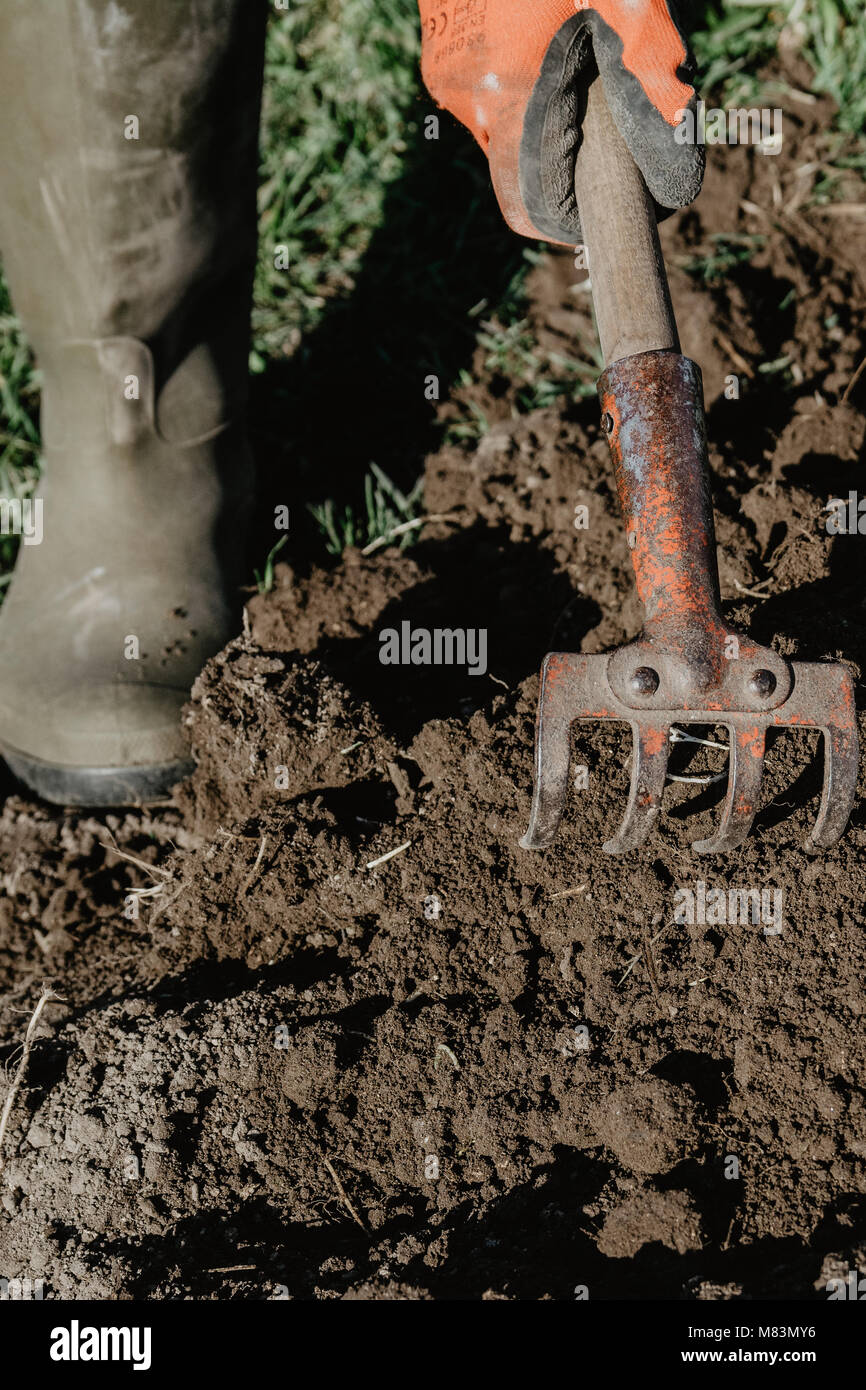 Farmer prepares land for planting with plough tool in spring. Organic farming. Stock Photo