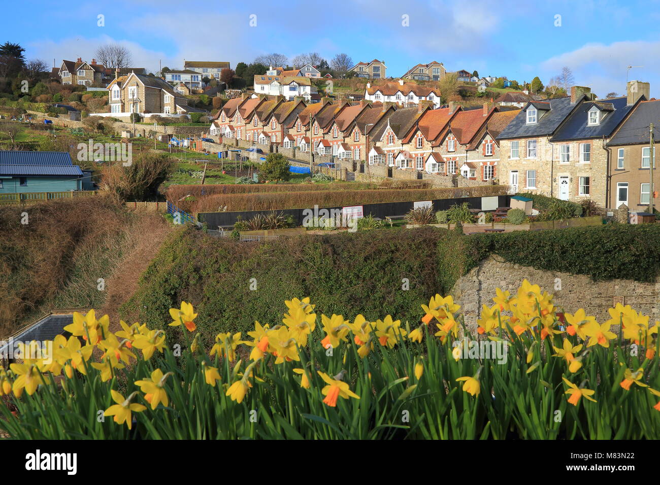 Beautiful coastal village of Beer in East Devon Stock Photo