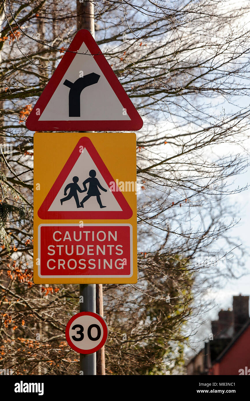 One of (30) images in this set related to plant-life, road signs, internet, spring flora, rhododendrons and calor gas tank in Acton Burnell. Stock Photo