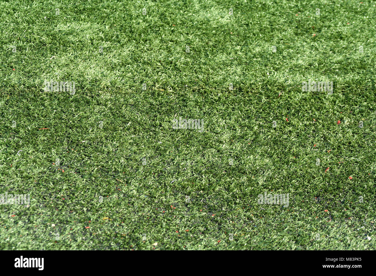 A green Astro turf background Stock Photo