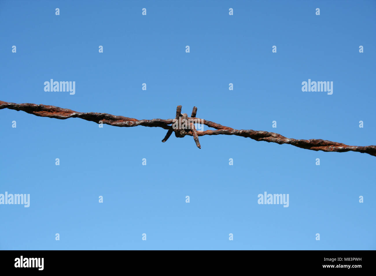 Rusty Barbed Wire against a blue sky Stock Photo