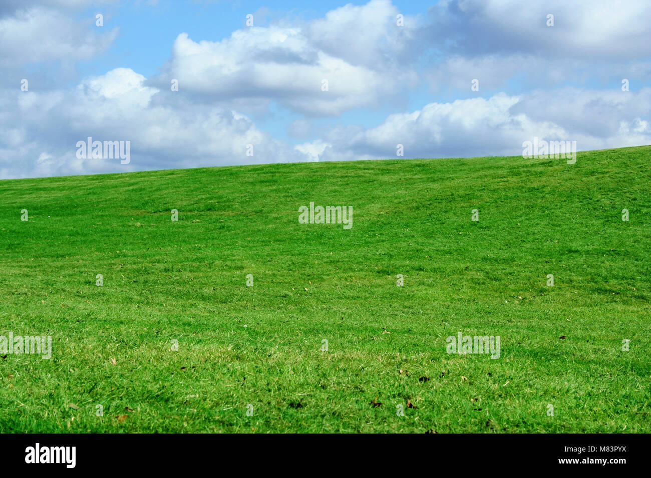 A Green Field and cloudy blue sky Stock Photo - Alamy