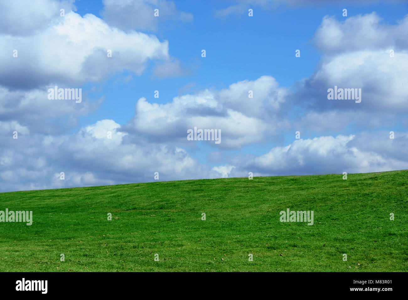A Green Field and cloudy blue sky Stock Photo - Alamy
