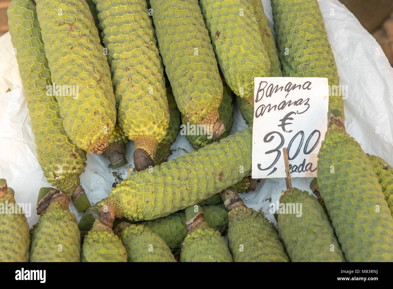 Bananas in a farmers market in Portugal Stock Photo Alamy