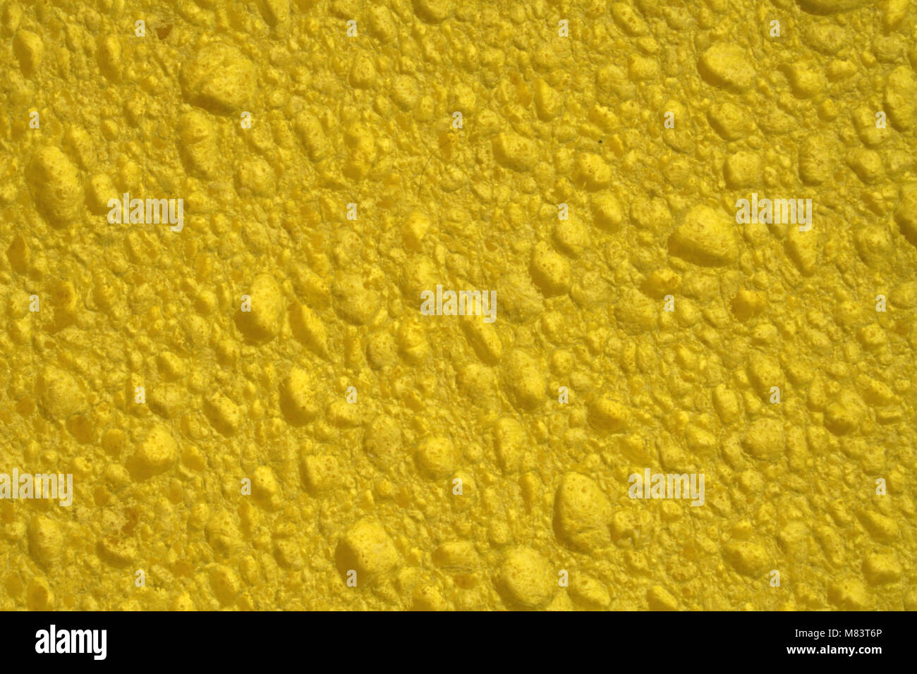 close up of a Yellow sponge Stock Photo