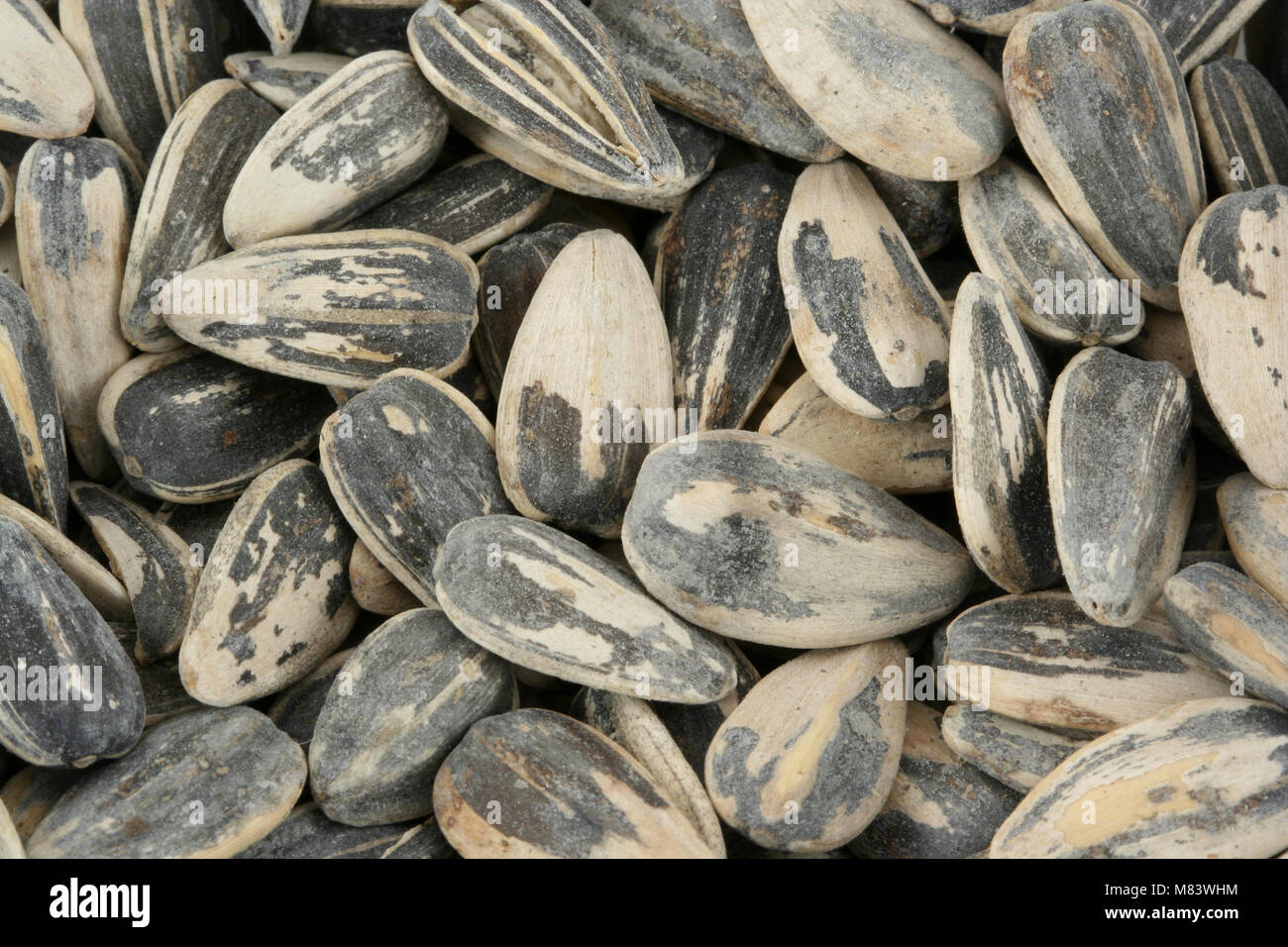 Crunchy roasted sunflower seeds hi-res stock photography and images - Alamy