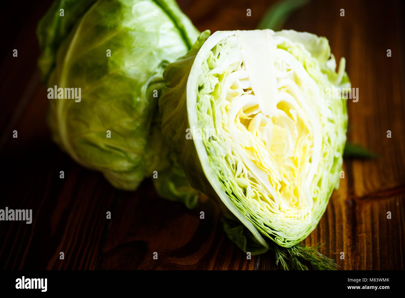 cabbage young green Stock Photo
