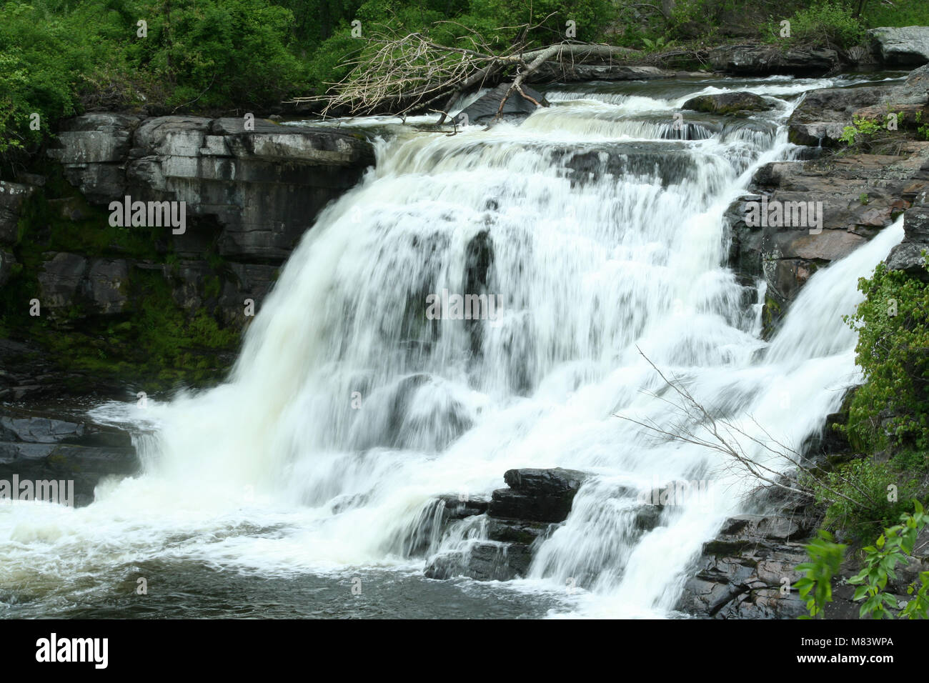 an image of Resica Falls Stock Photo