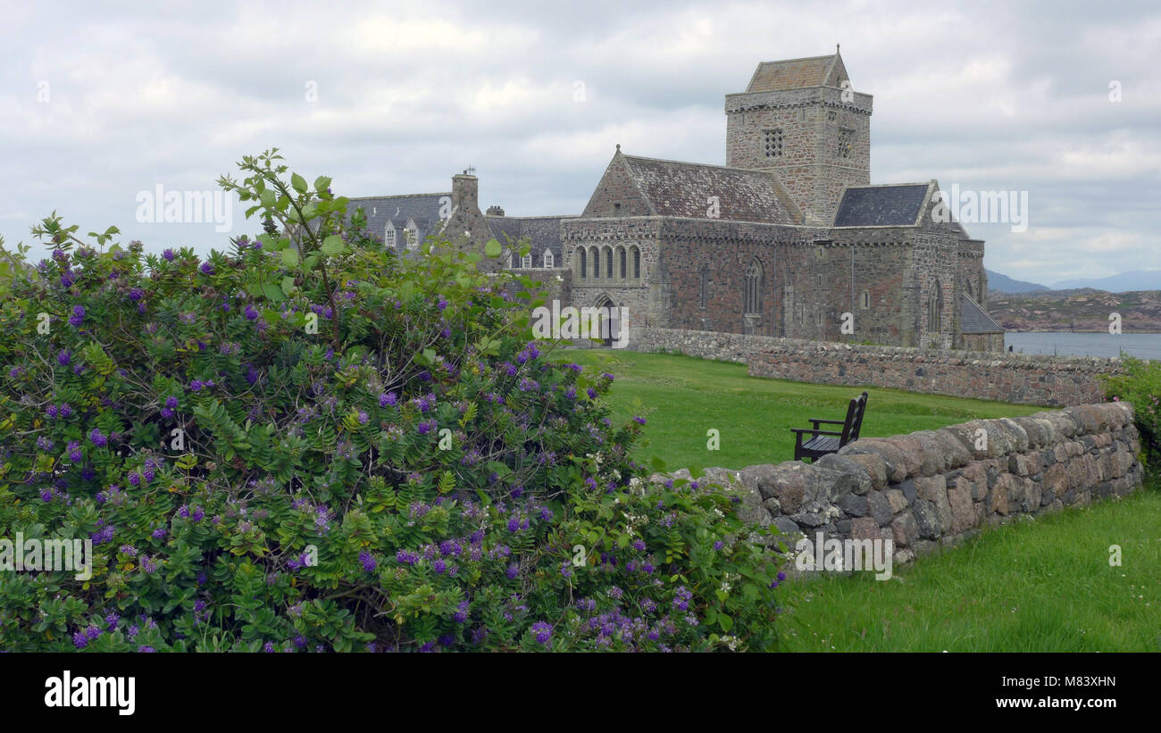 THE ABBEY ON THE ISLE OF IONA SCOTLAND Stock Photo Alamy