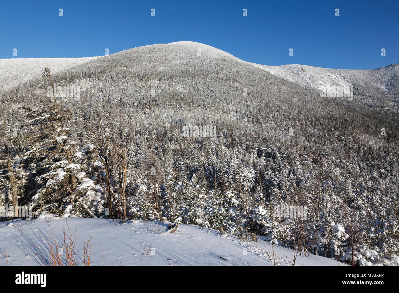 Appalachian Trail South Twin Mountain from Galehead Hut in Franconia, New Hampshire during the