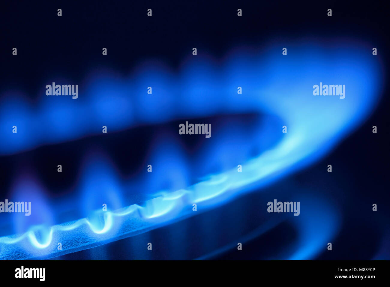 Gas Flame on a Cooker Hob, Close Up Stock Photo Alamy