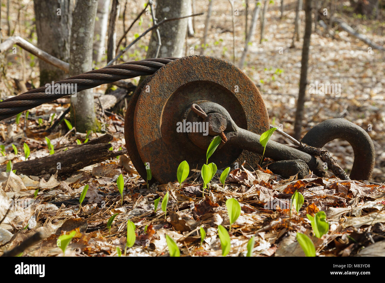 The abandoned Redstone Granite quarry in Conway, New Hampshire USA