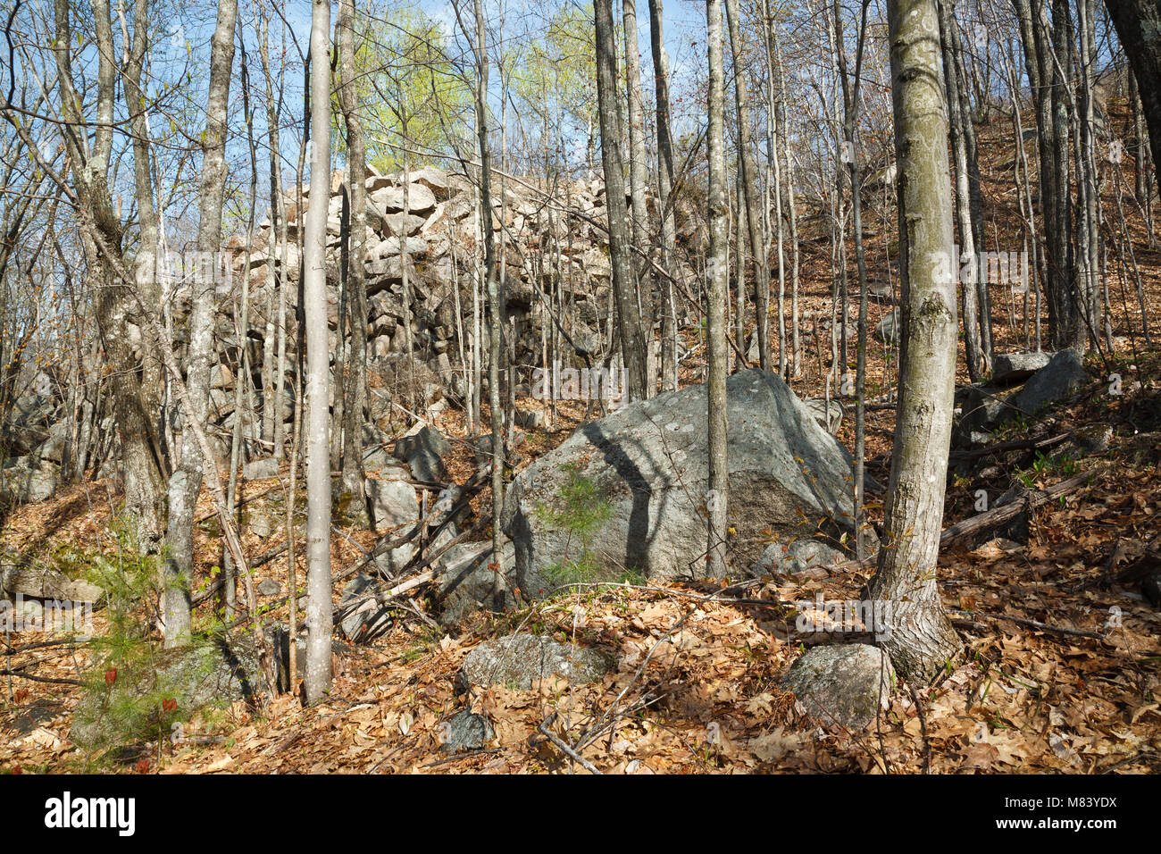 The abandoned Redstone Granite quarry in Conway, New Hampshire USA Stock Photo Alamy