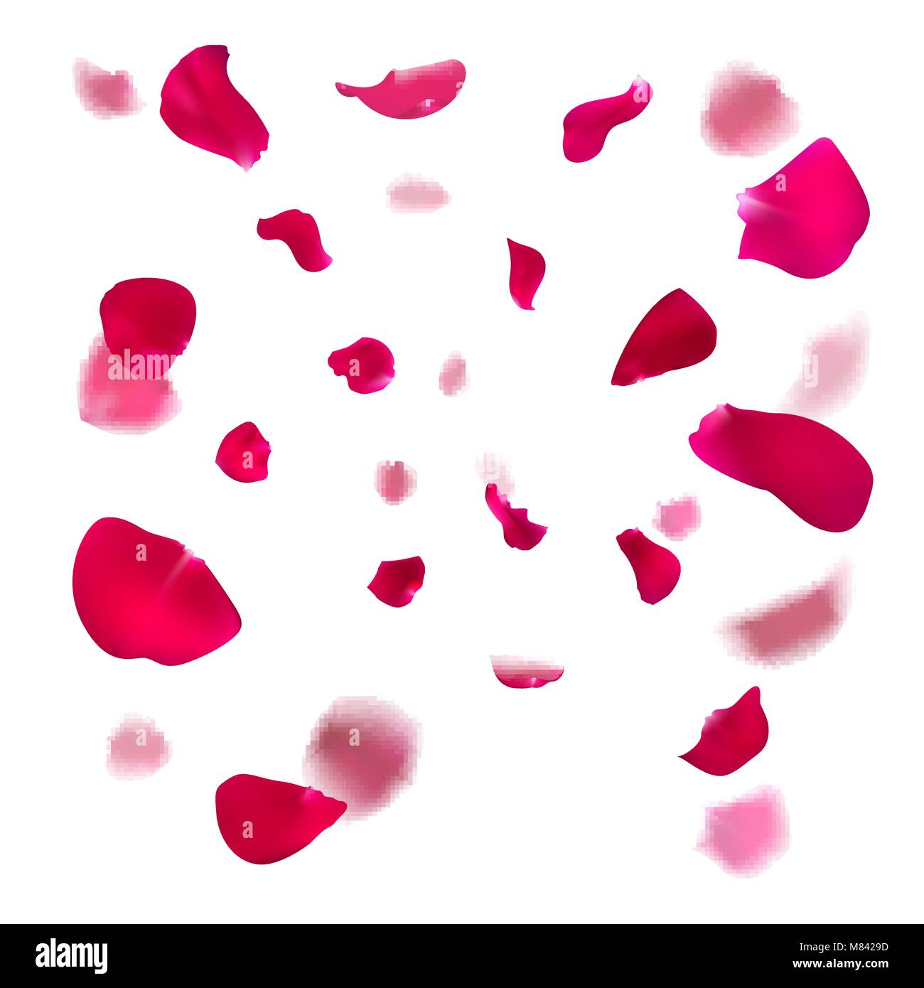 Pink rose petals are falling down Stock Vector Image & Art Alamy