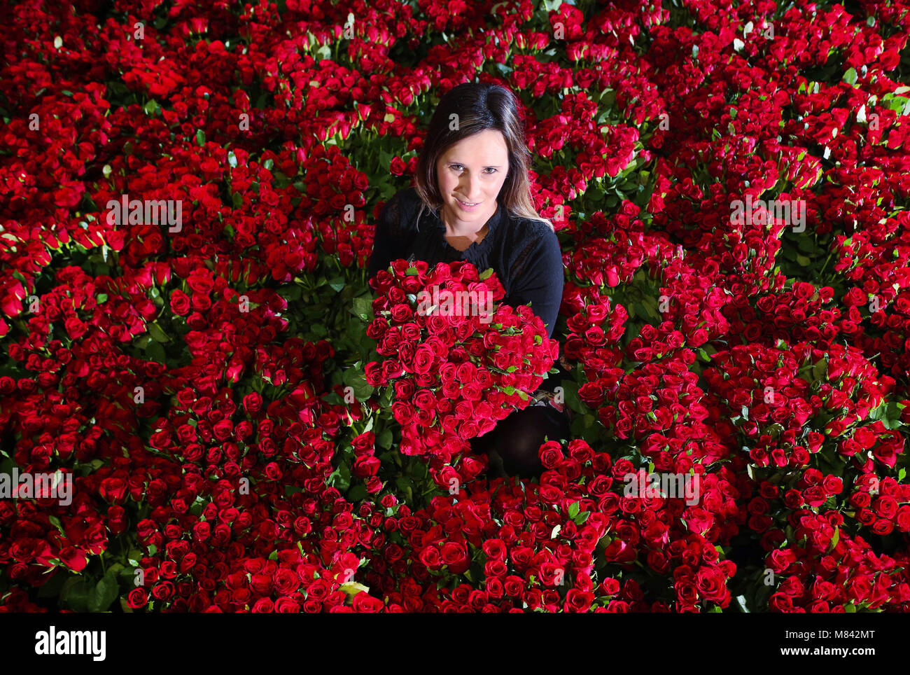 This Valentine’s Day, Asda has picked more roses than ever, with 8.1