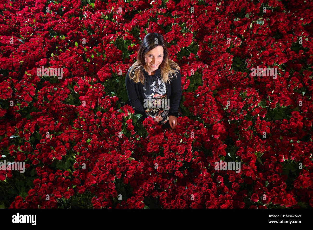This Valentine’s Day, Asda has picked more roses than ever, with 8.1
