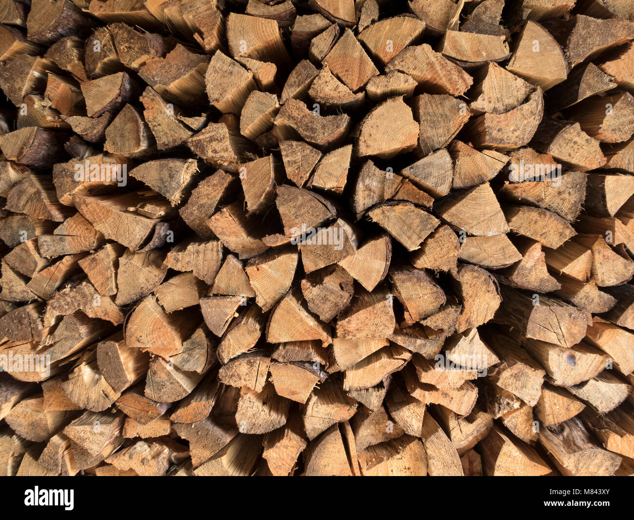 Stacked firewood Stock Photo