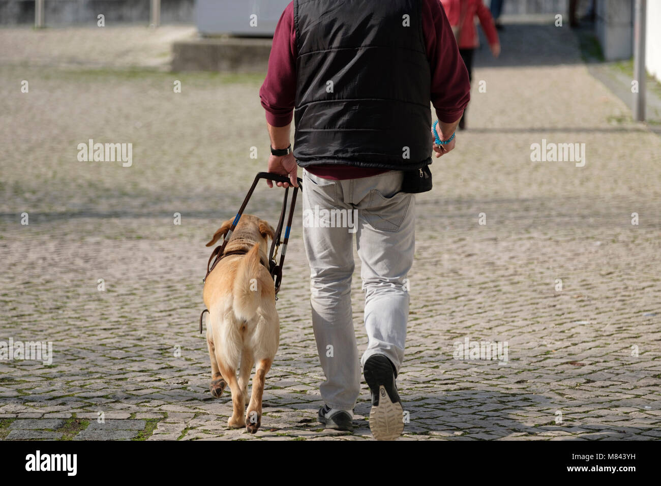 Blind person with guide dog Stock Photo