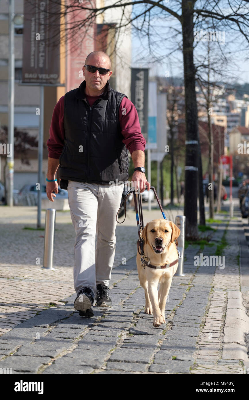 Walking for guide dogs hi-res stock photography and images - Alamy