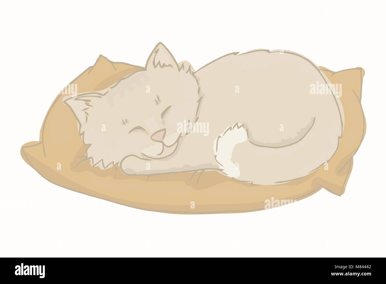 Kitten vector illustration. Gray cat sleeping on a pillow Stock Vector ...