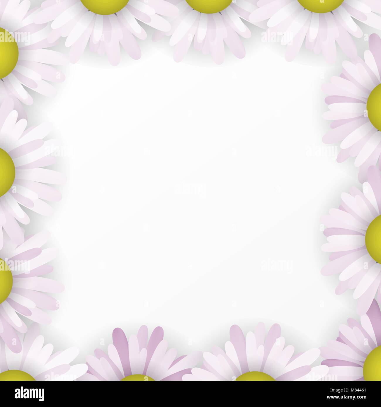 Blooming daisy in meadow Stock Vector Images - Alamy