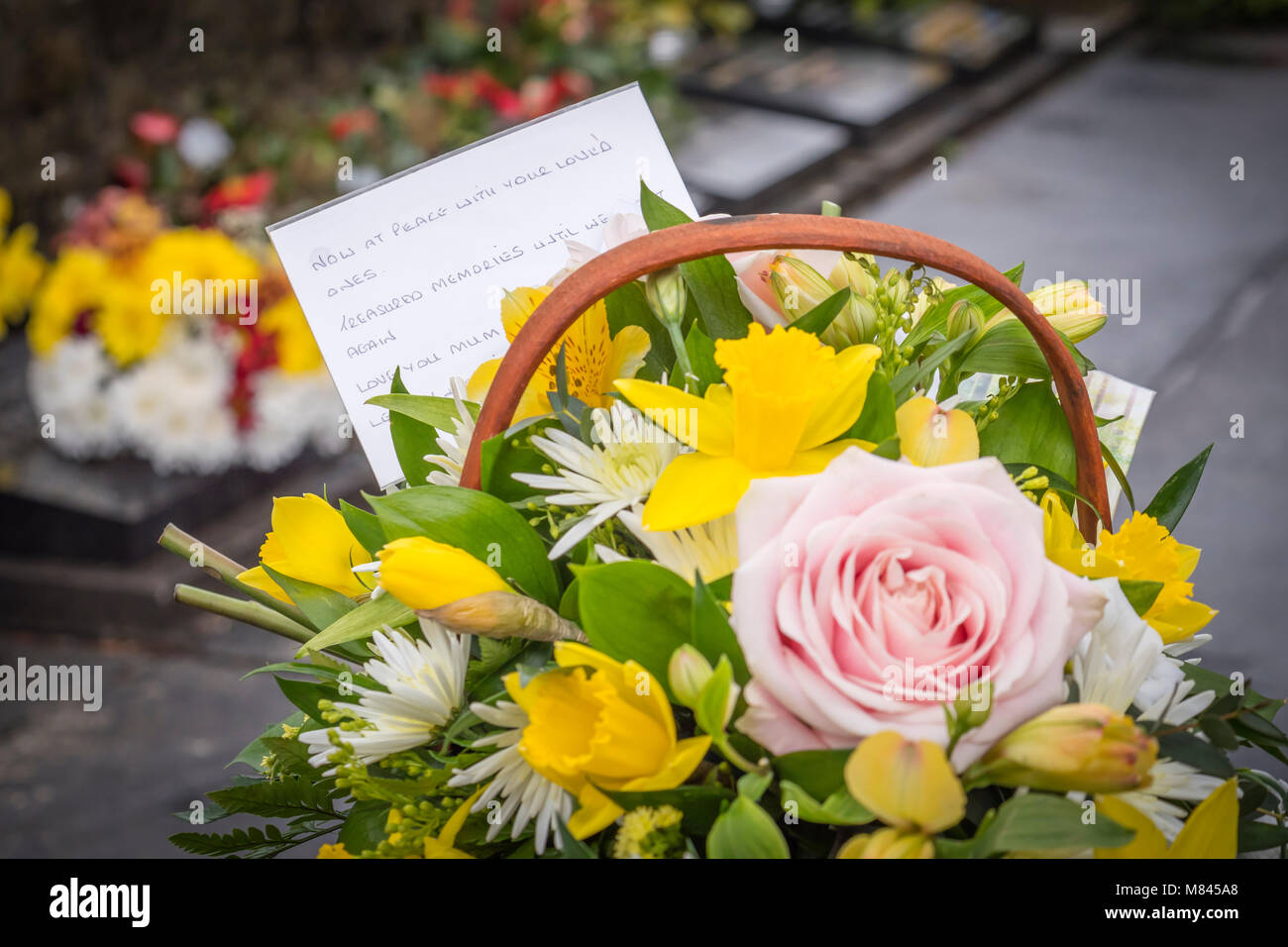 Funeral Flowers at the graveside Stock Photo Alamy