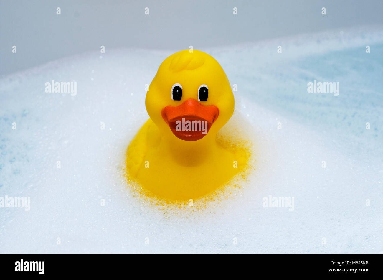 Rubber ducky floating in a bath of bubbles Stock Photo Alamy