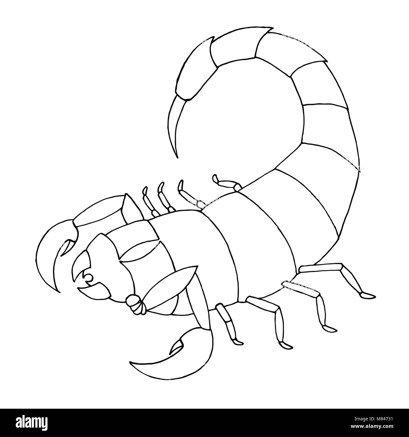 Scorpion coloring book. Vector outline illustration scorpio Stock Vector