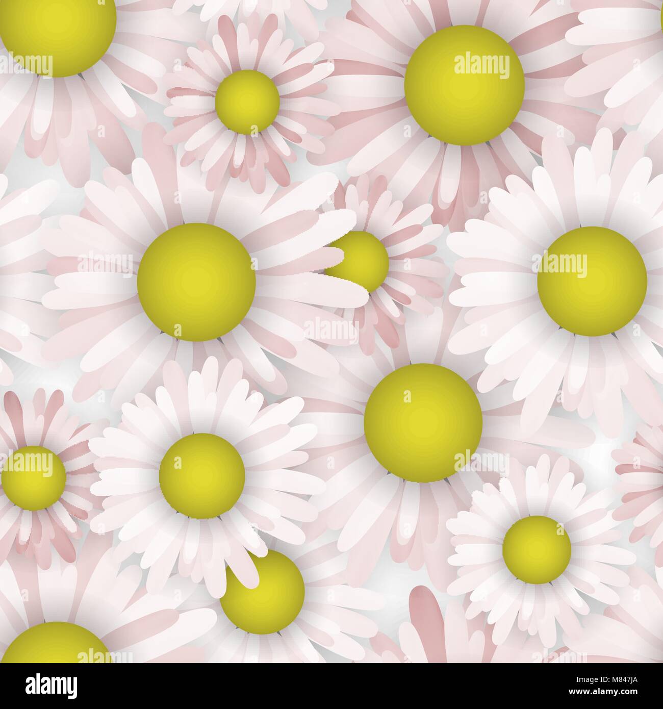 Seamless pattern background with daisy. Blooming wallpaper vector ...