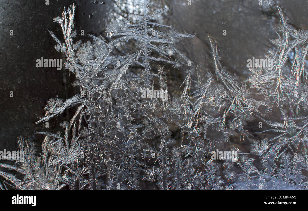 A view of tree branches through a frozen window. Frozen water on the window creates silver beautiful odecoration ornaments. Stock Photo