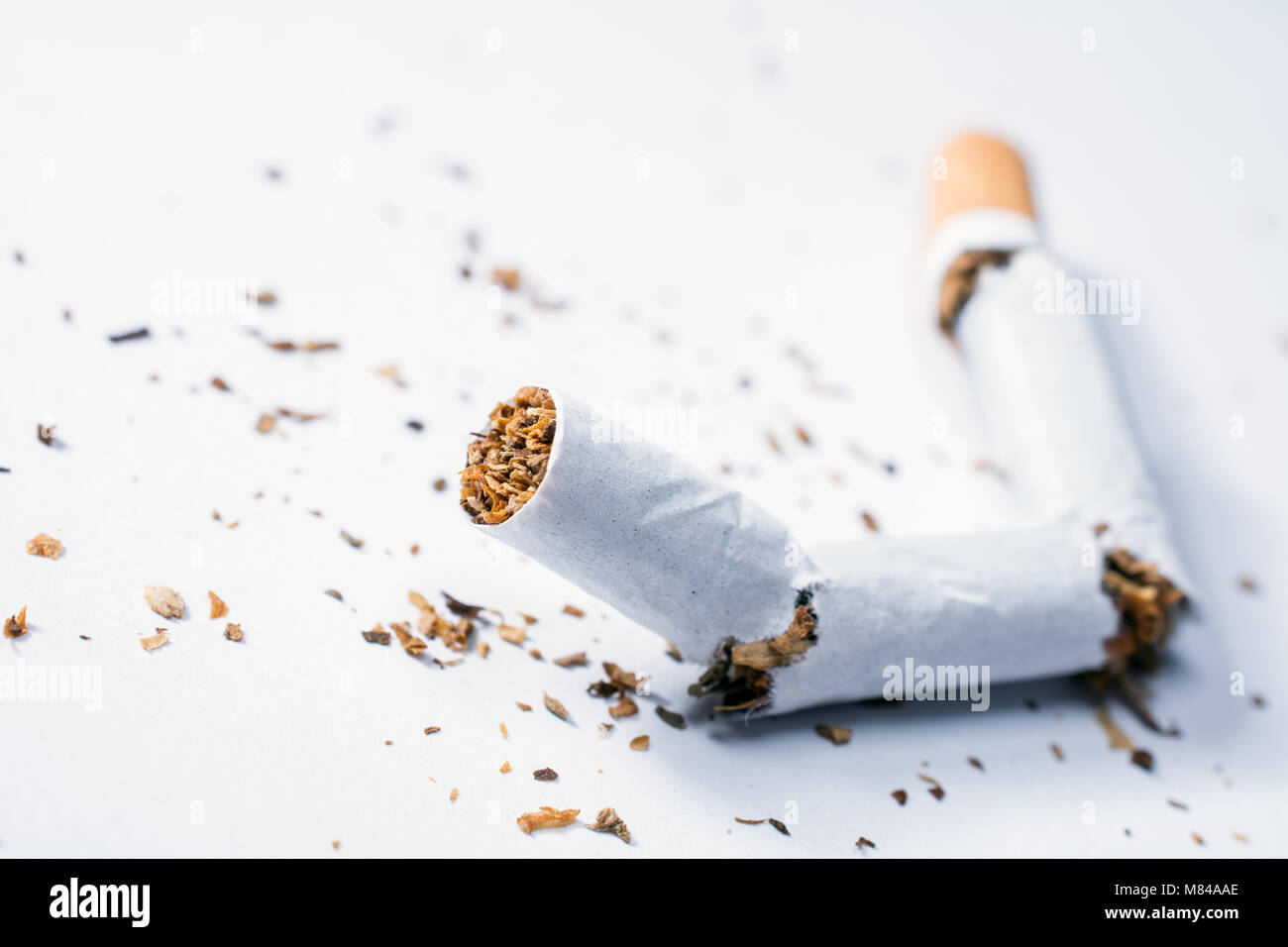 broken cigarette Broken Cigarette With Tobacco Pieces In White Box Stock Photo