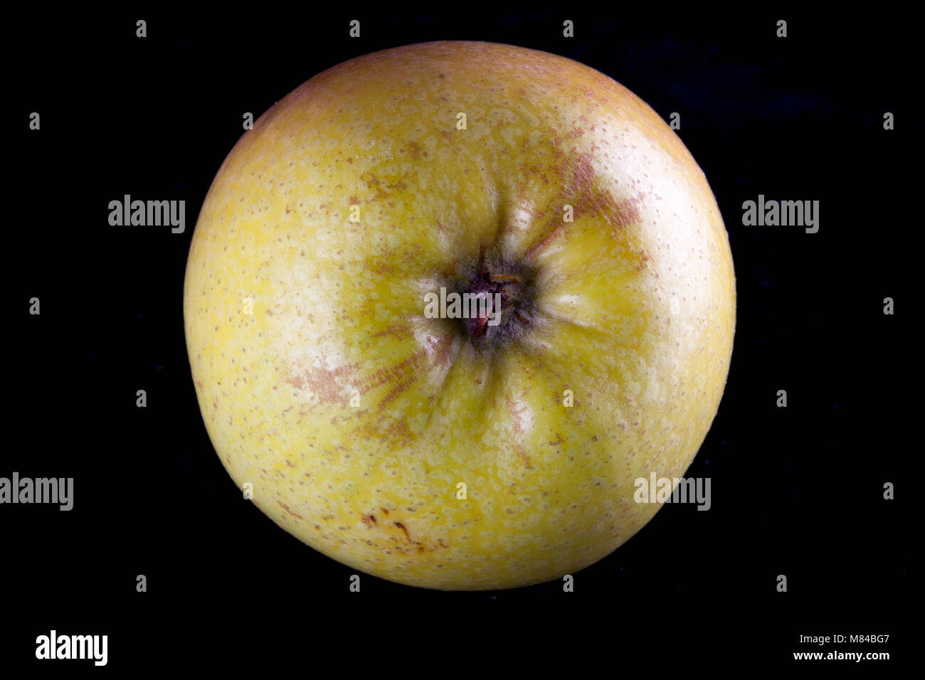 Old German Apple Cultivar Zuccalmaglios Renette Stock Photo