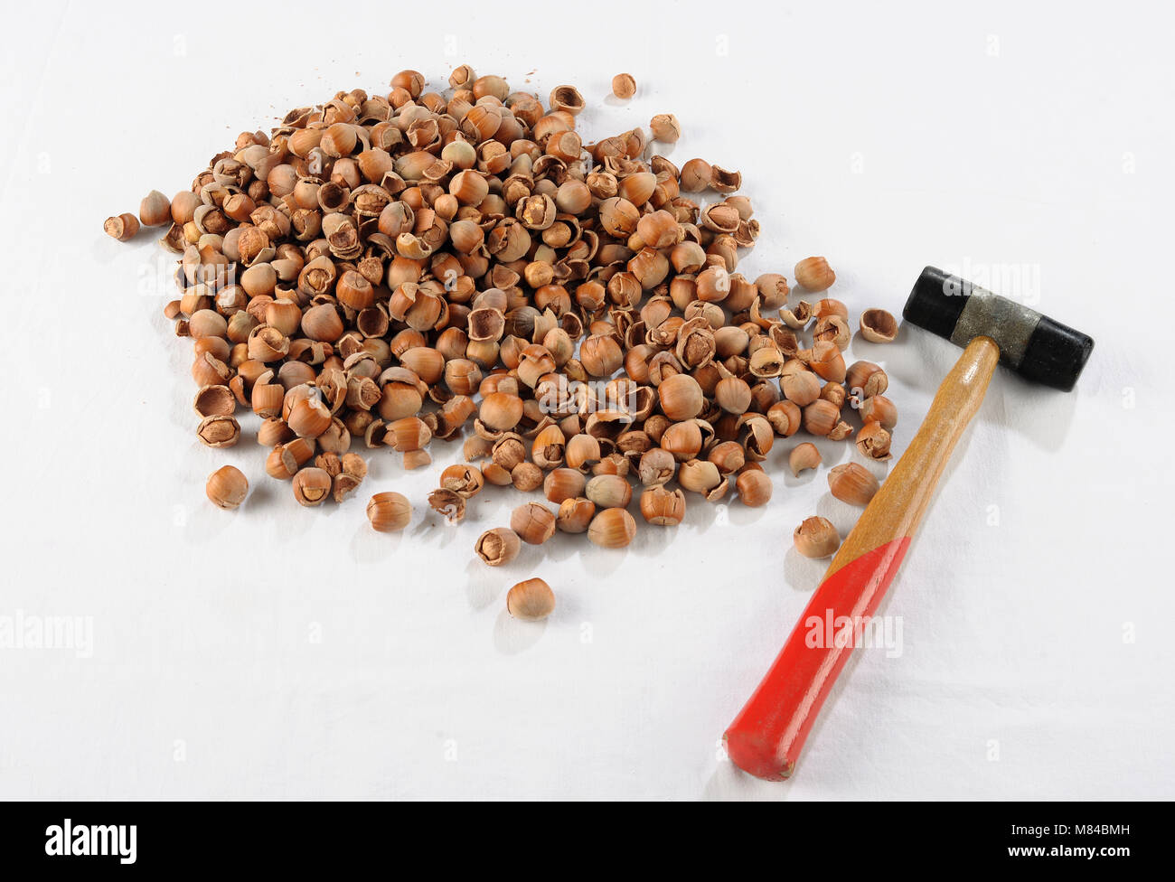 Exploded Hazelnut Crack hazelnuts with a hammer on the white table Stock Photo - Alamy