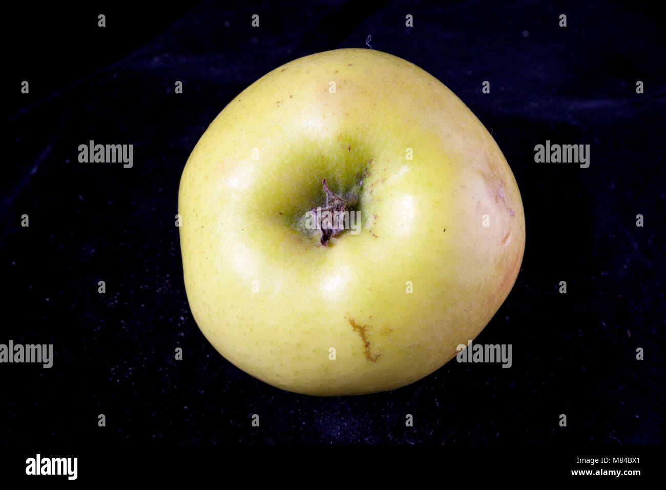 Old German Apple Cultivar Schicks Rheinlandapfel Stock Photo
