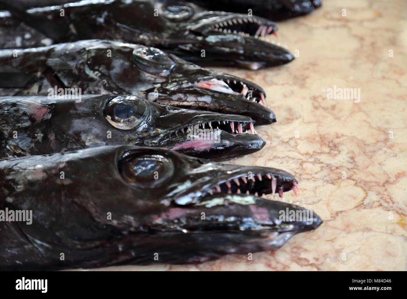 Traders offer fresh Scabbard fish at the local market at Funchal, Madeira, Portugal Stock Photo