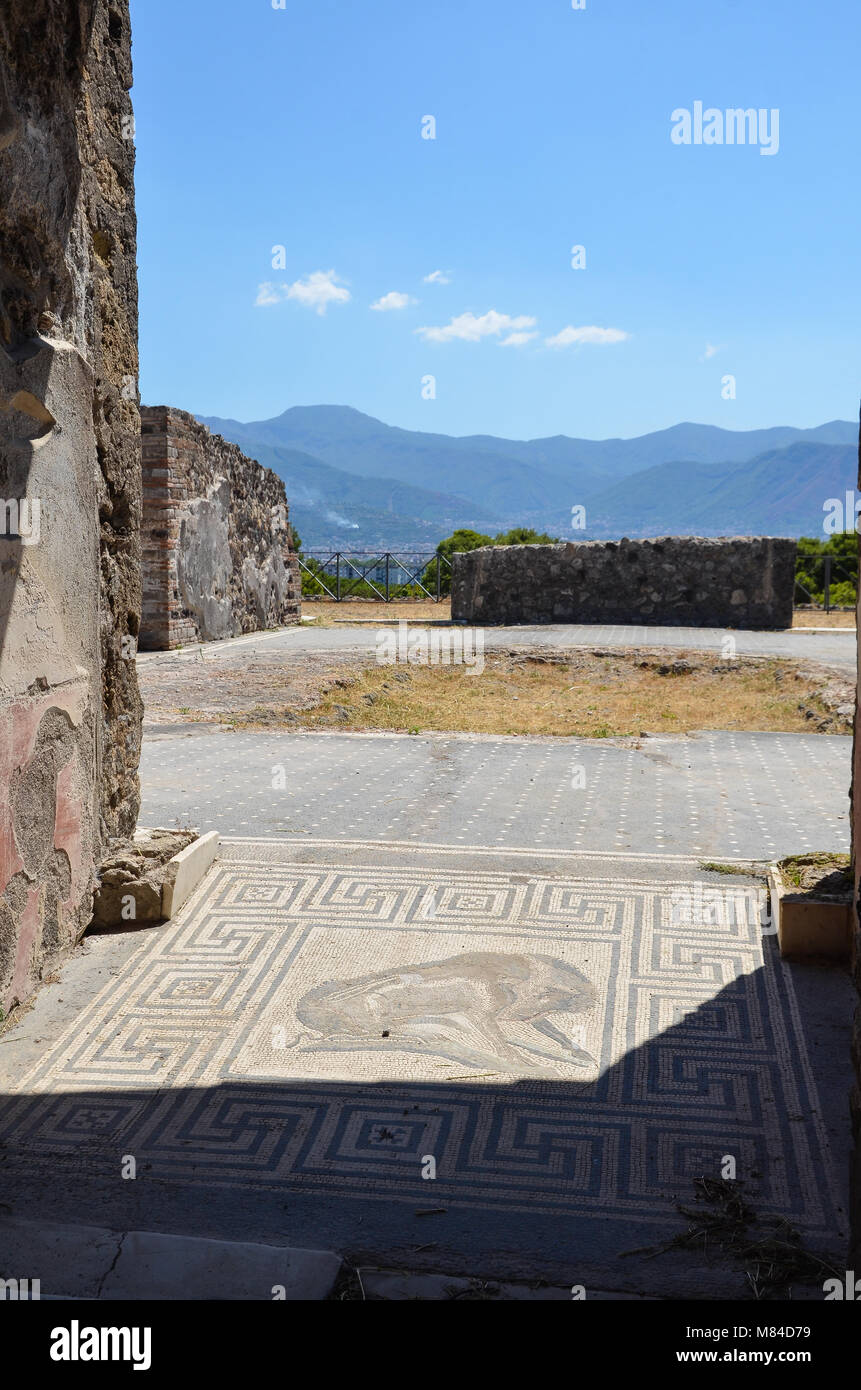 Pompeii Mosaic Floor Stock Photo Alamy