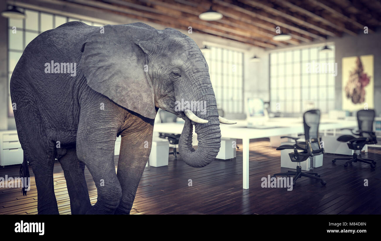 elephant in the room, modern industrial office 3d rendering image Stock Photo